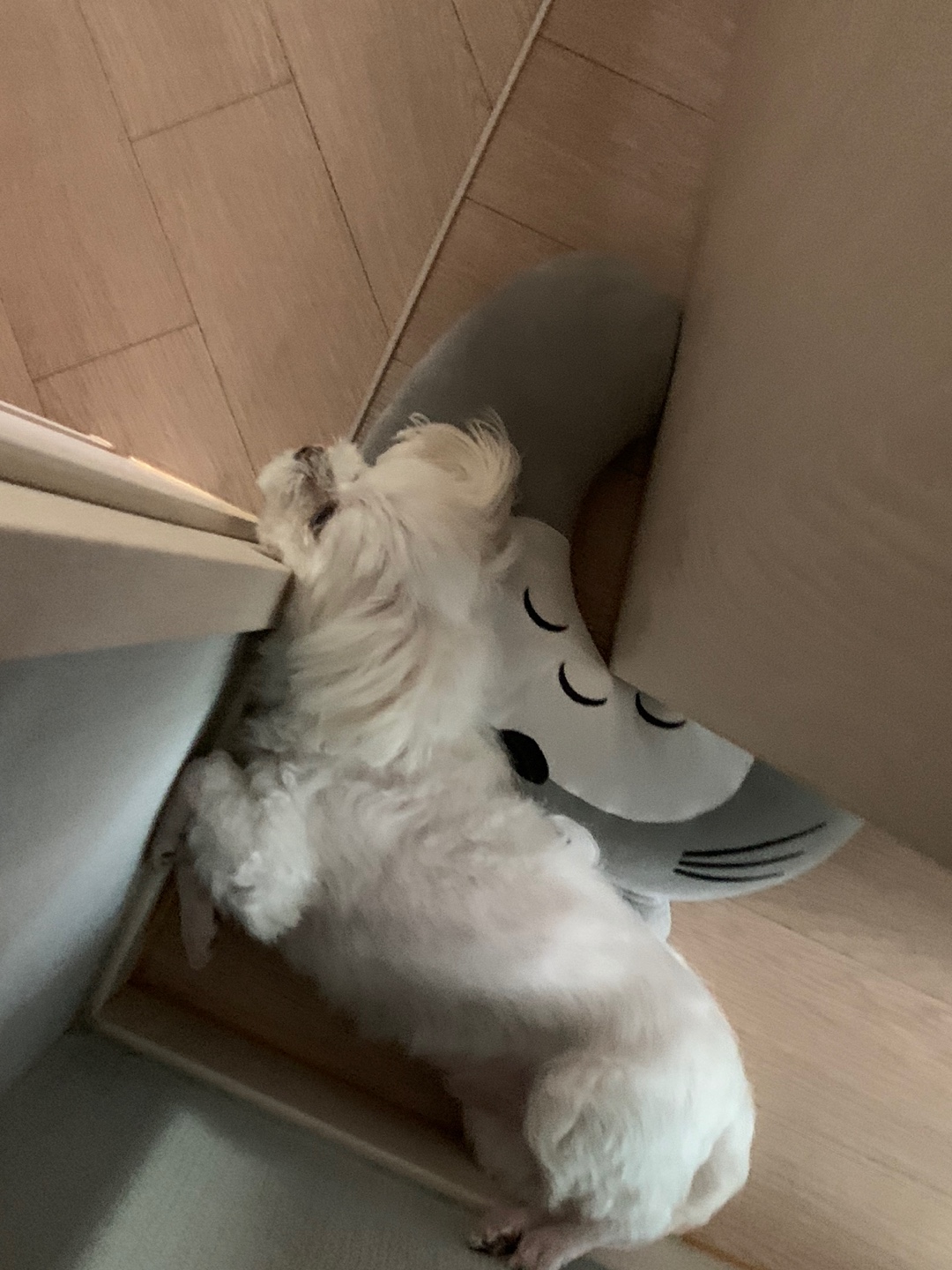  노래방에서 부르기 좋은 노래 모음 (여자편)