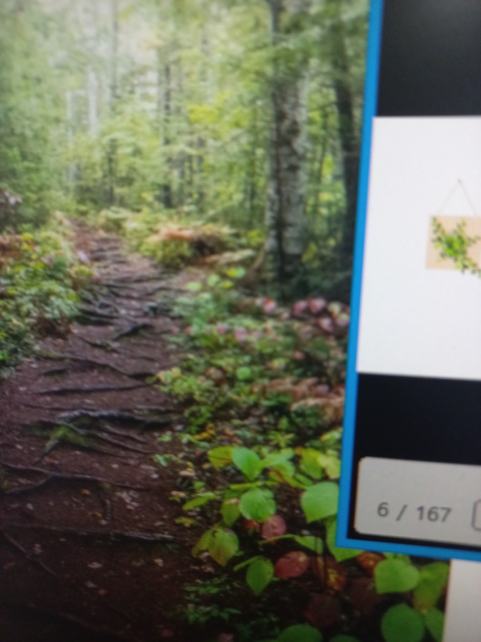 온라인으로 편입한 방법 치기공사 자격증 고졸에서 19