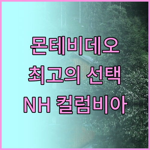 몬테비데오 최고의 선택, NH 몬테비
