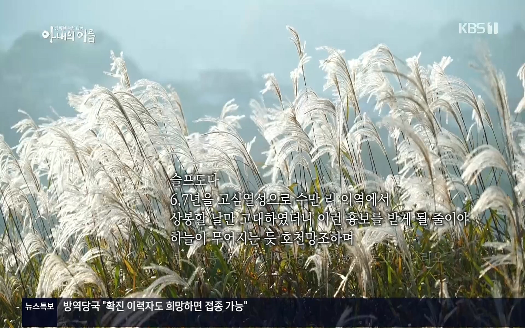 광복절 특집 다큐 아내의 이름.220815p.H264-F1RST.mp4_20220822_145156.769.jpg