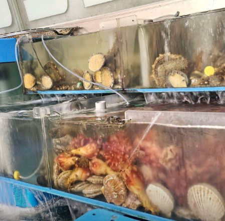 6시내고향 K맛있을지도 인천 백령도 자연산해산물 횟집