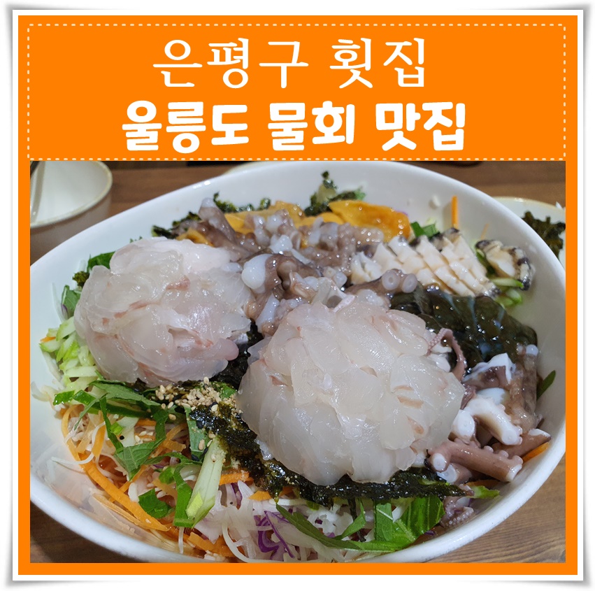  은평구 횟집 울릉도 물회 맛집