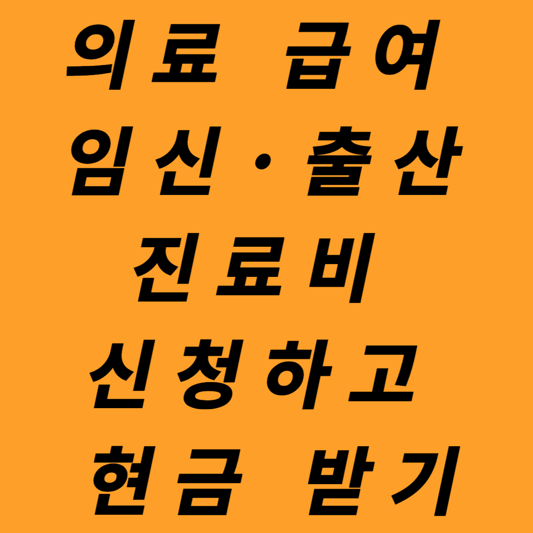 의료 급여 임신 출산 진료비 지원 신청하고 현금 받기