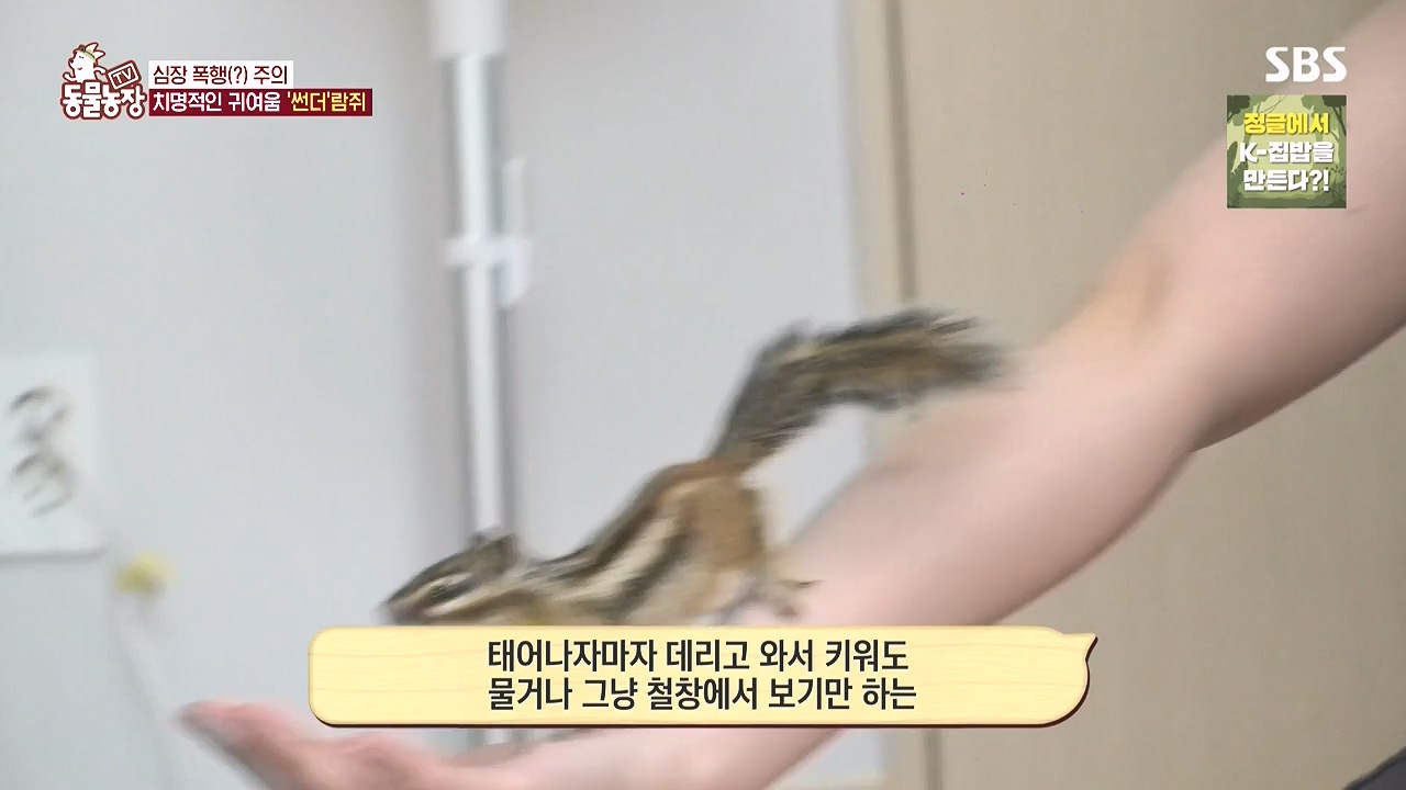 TV 동물농장.E1183.240805p-NEXT.mp4_20240804_154945.752.jpg