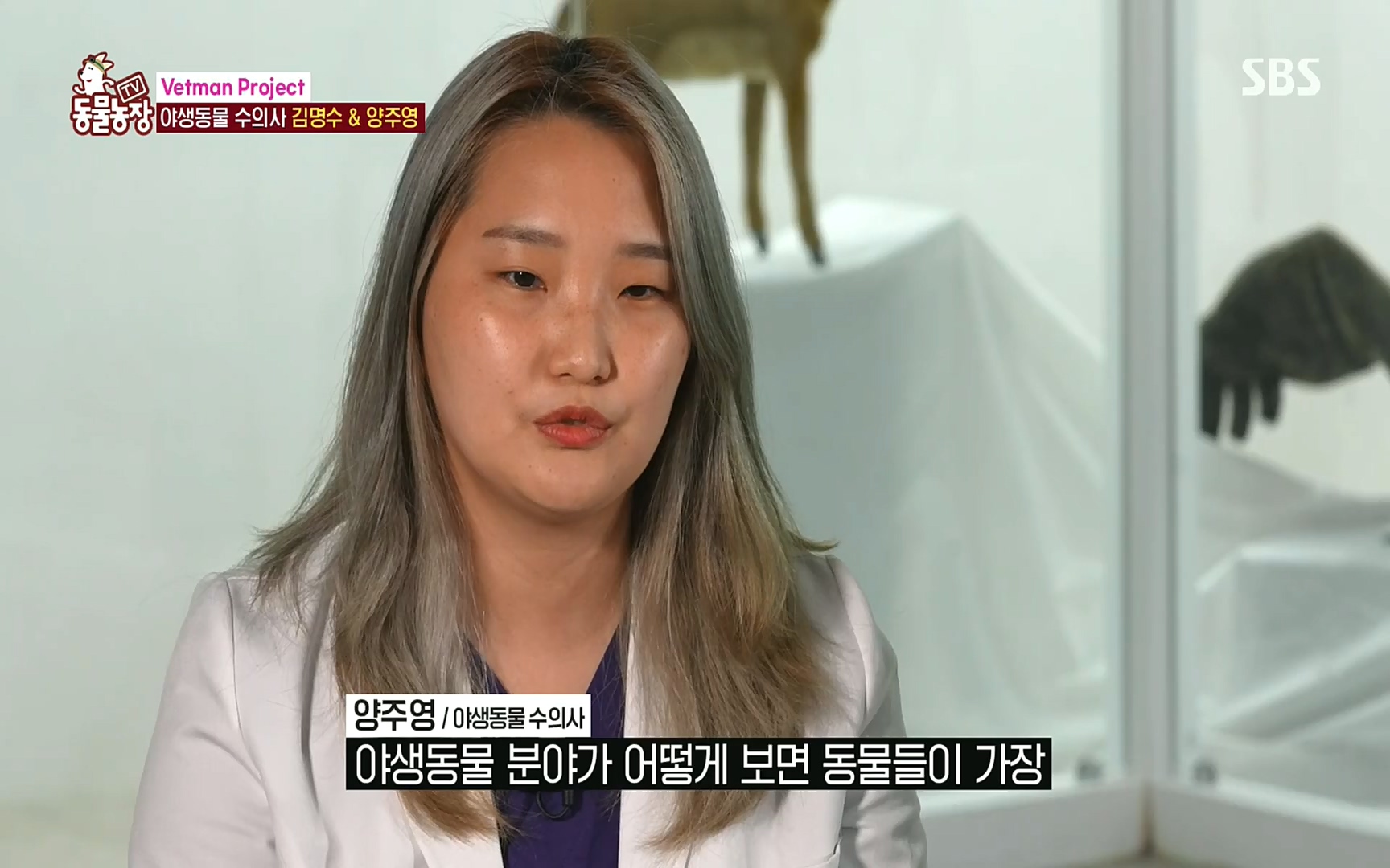TV 동물농장.E1081.220807p.H264-F1RST.mp4_20220807_213633.462.jpg