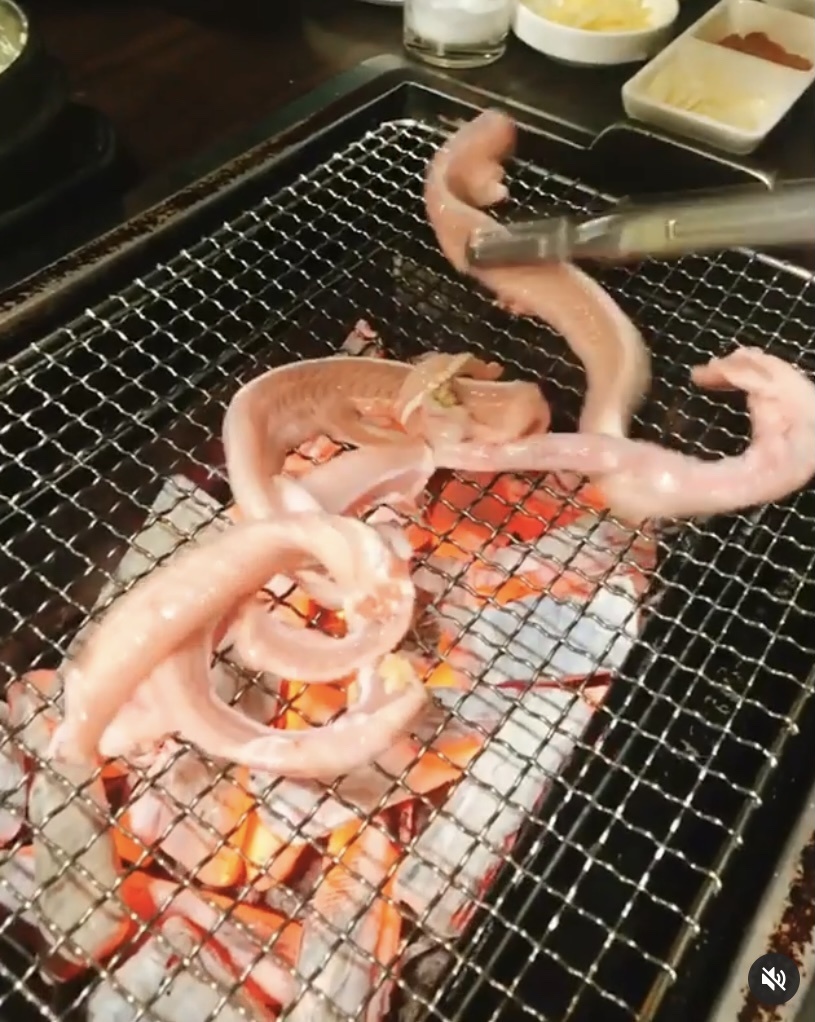 산꼼장어민물장어 이미지