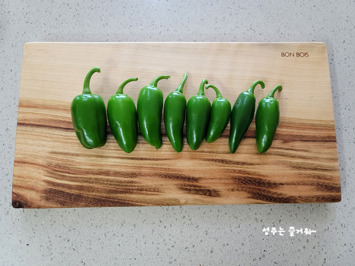 아파트 정원작물 할라페노 고추 재배, 고추씨 심기, 묘목 심기, 수확, 피클 만들기 5