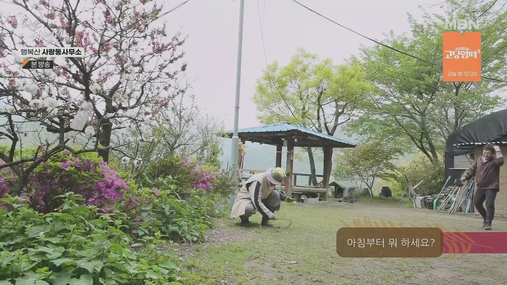 나는 자연인이다.E552.230503p.H264-F1RST.mp4_20230504_200318.337.jpg