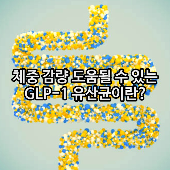 GLP-1 유산균이란? 작용원리 및 기대효과