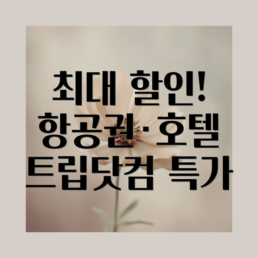 트립닷컴 할인코드