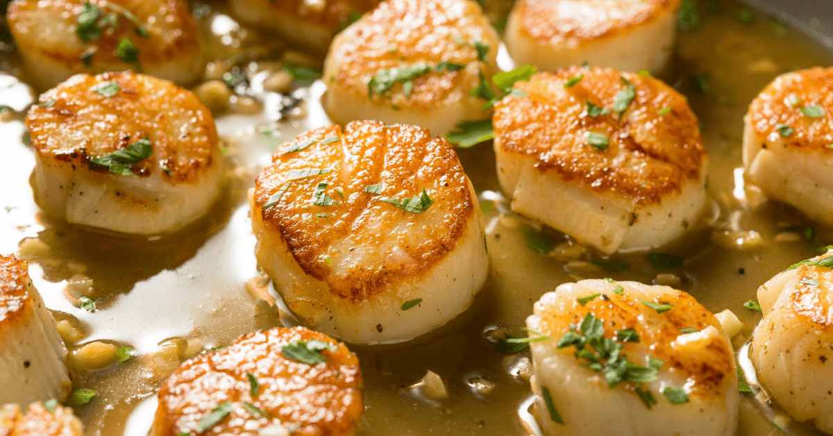  Scallop - The beloved mollusk