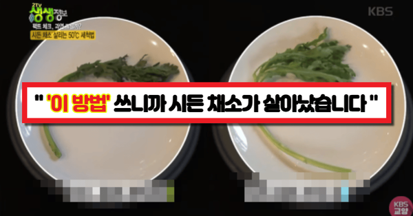  "2분만 하면 끝" 살림 9단이 알려주는 시든채소 살려내는 방법