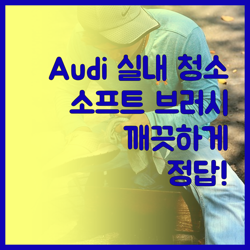 Audi 차량 실내 청소? 이 소프트