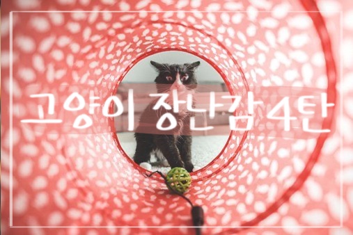  고양이 장난감 4탄(DIY 장난감, 고양이 장난감 참고사항)