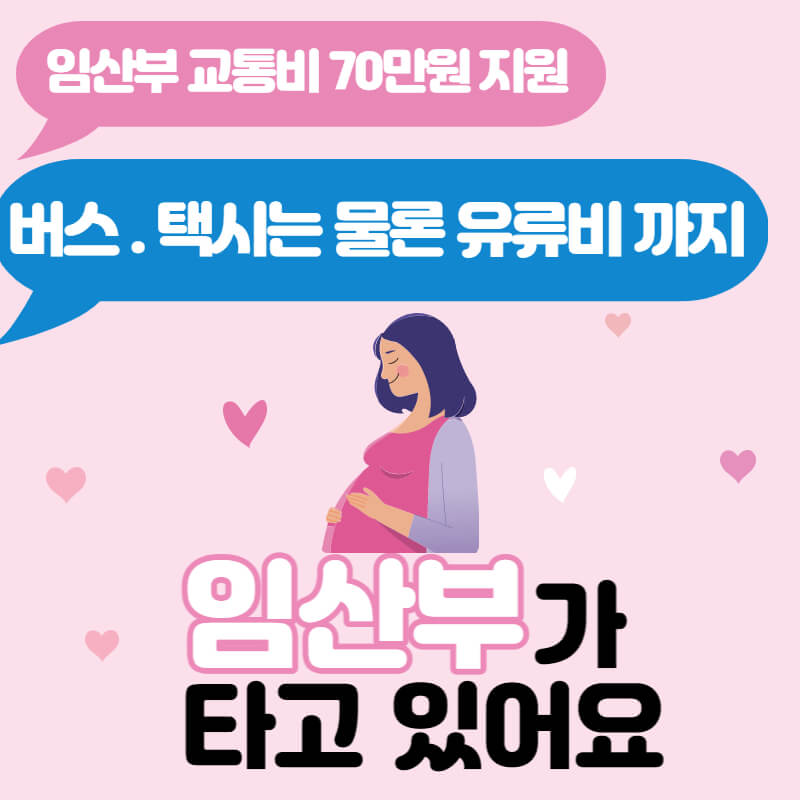 서울시 임산부 교통비 지원