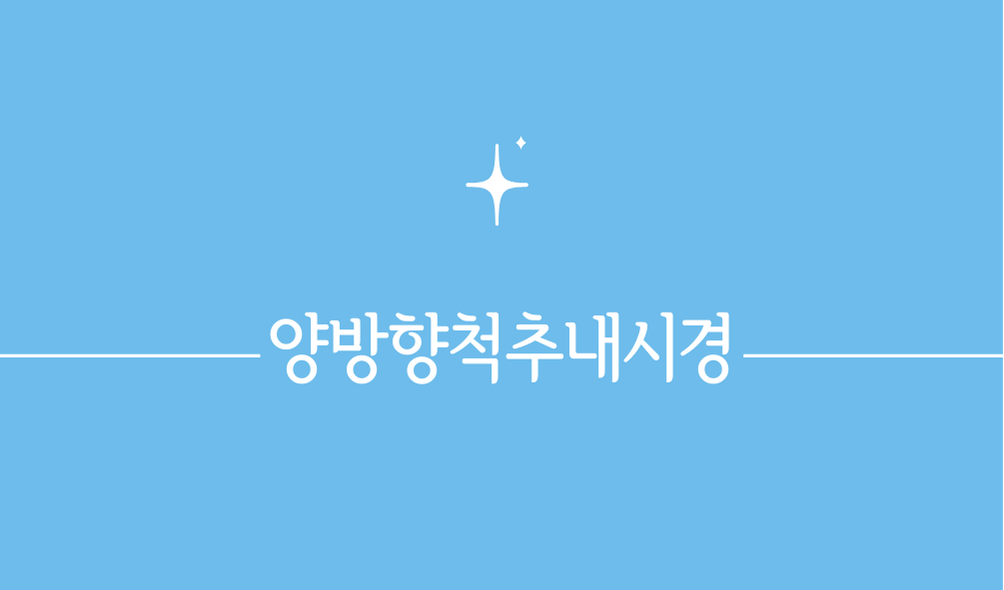 양방향척추내시경