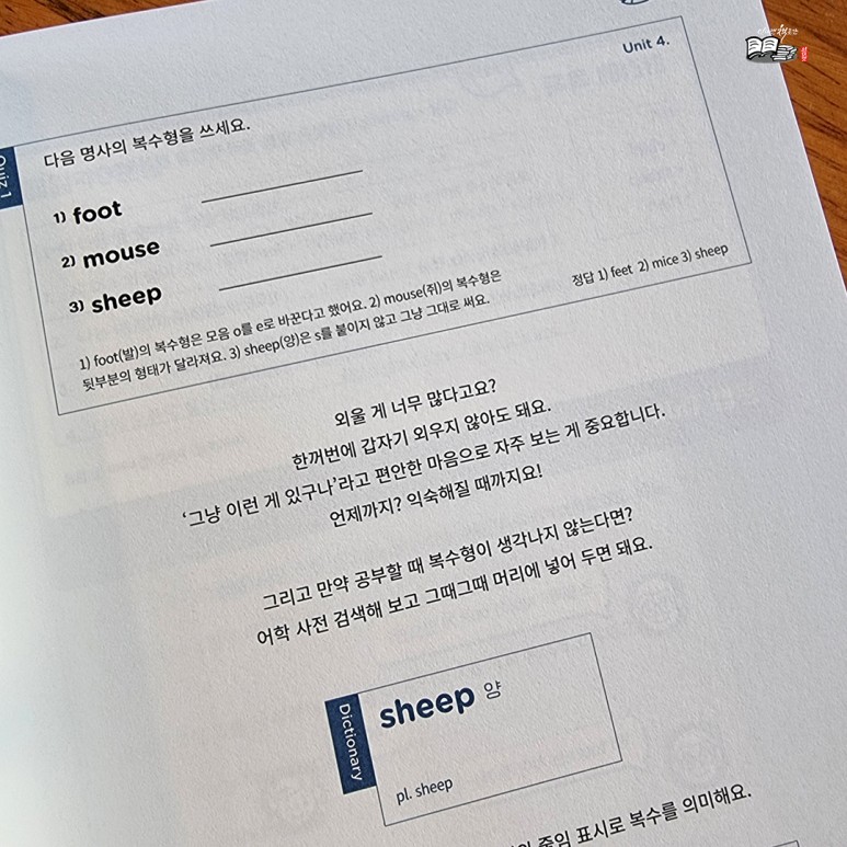 <고딸영문법 1 : 기초를 위한 필수 개념 16