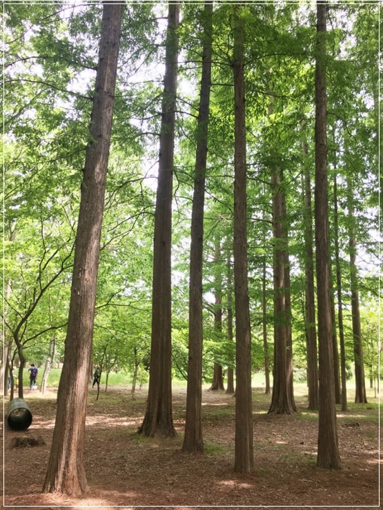  경주 가족여행 나들이 경상북도 산림환경연구원