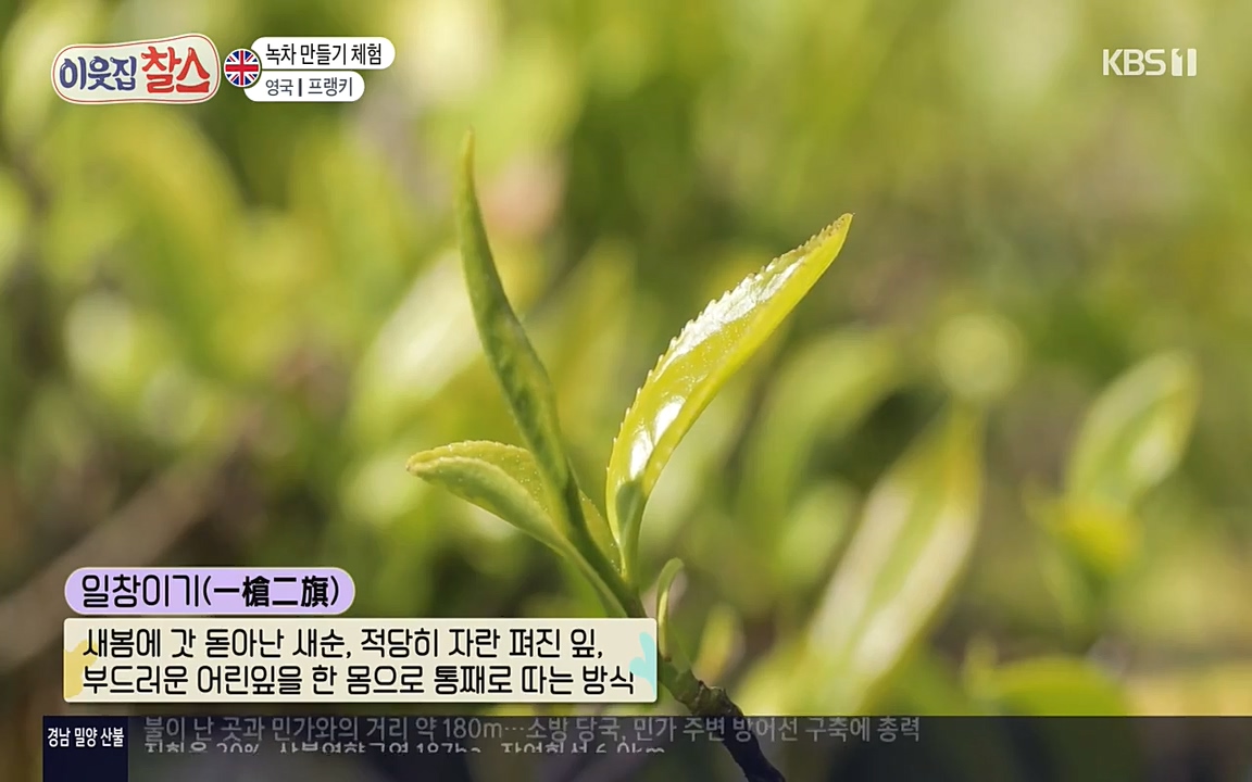 이웃집 찰스.E340.220532p-NEXT.mp4_20220601_175242.527.jpg