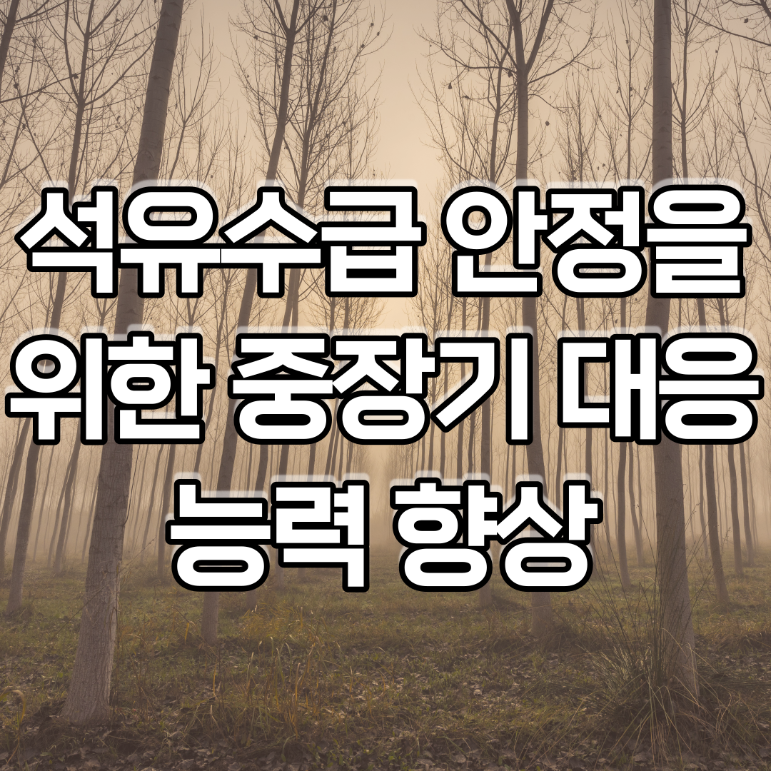  석유수급 안정을 위한 중장기 대응능력 향상