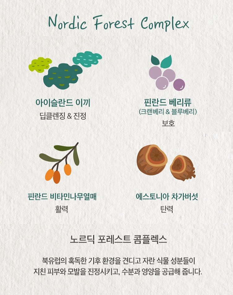 포레스트스파 이미지