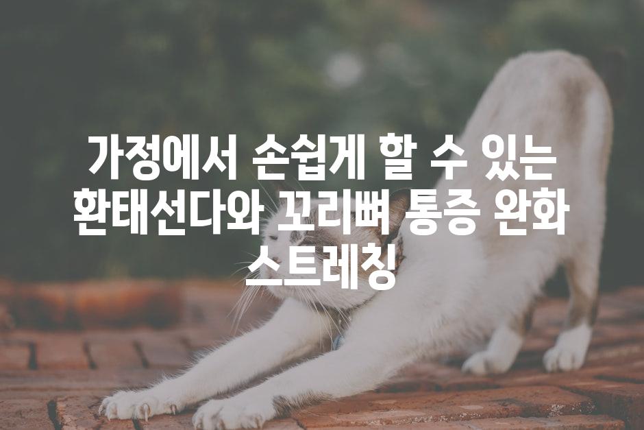 가정에서 손쉽게 할 수 있는 환태선다와 꼬리뼈 통증 완화 스트레칭