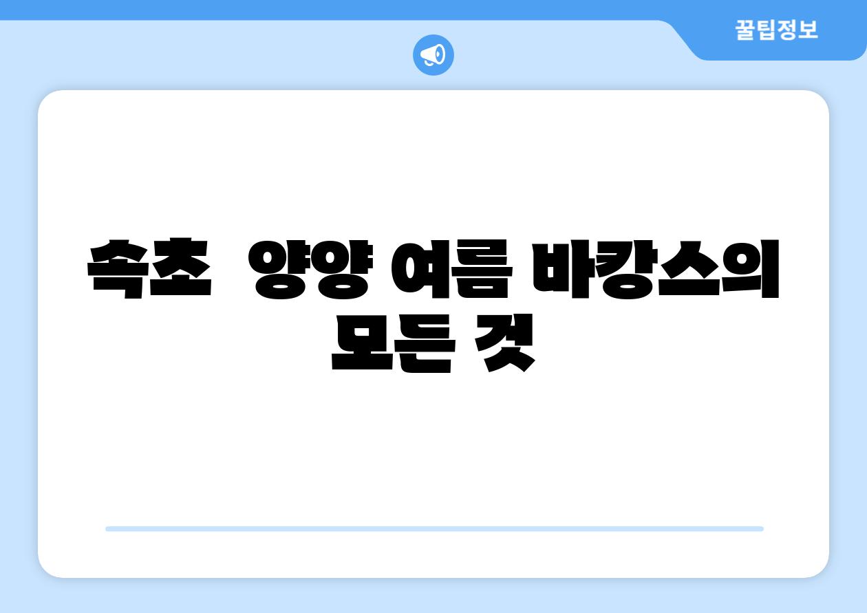 속초 양양 여름 바캉스의 모든 것