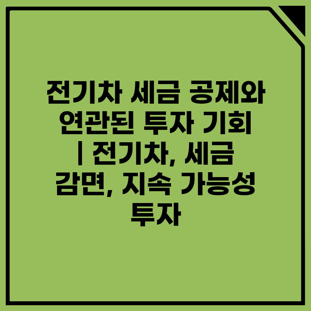 전기차 세금 공제와 연관된 투자 기회  전기차, 세금 