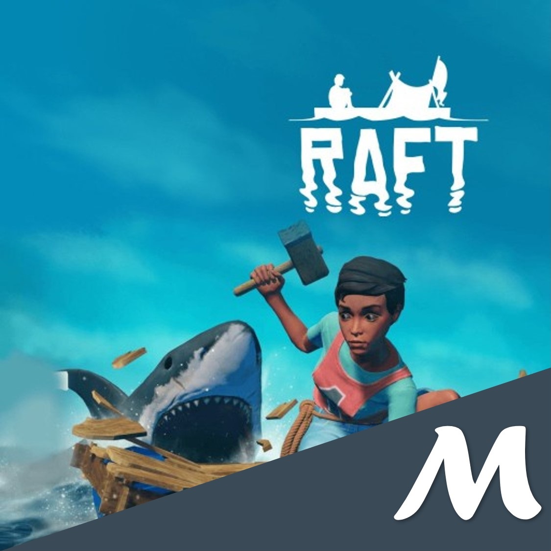 래프트 트레이너 (Raft Trainer) 래프트 트레이너 (Raft Trainer)