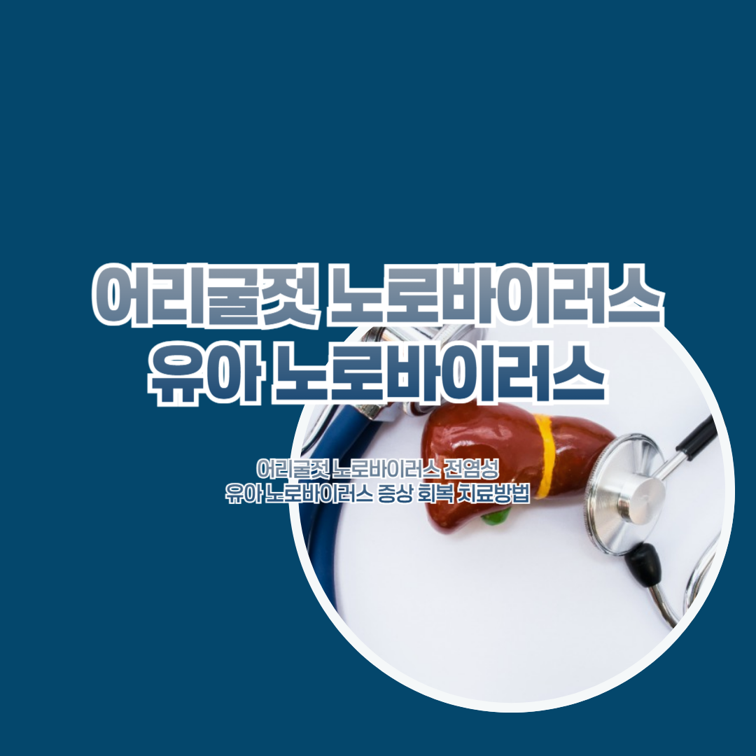 어리굴젓 노로바이러스 전염성 유아 노로바이러스 증상 회복 치료방법