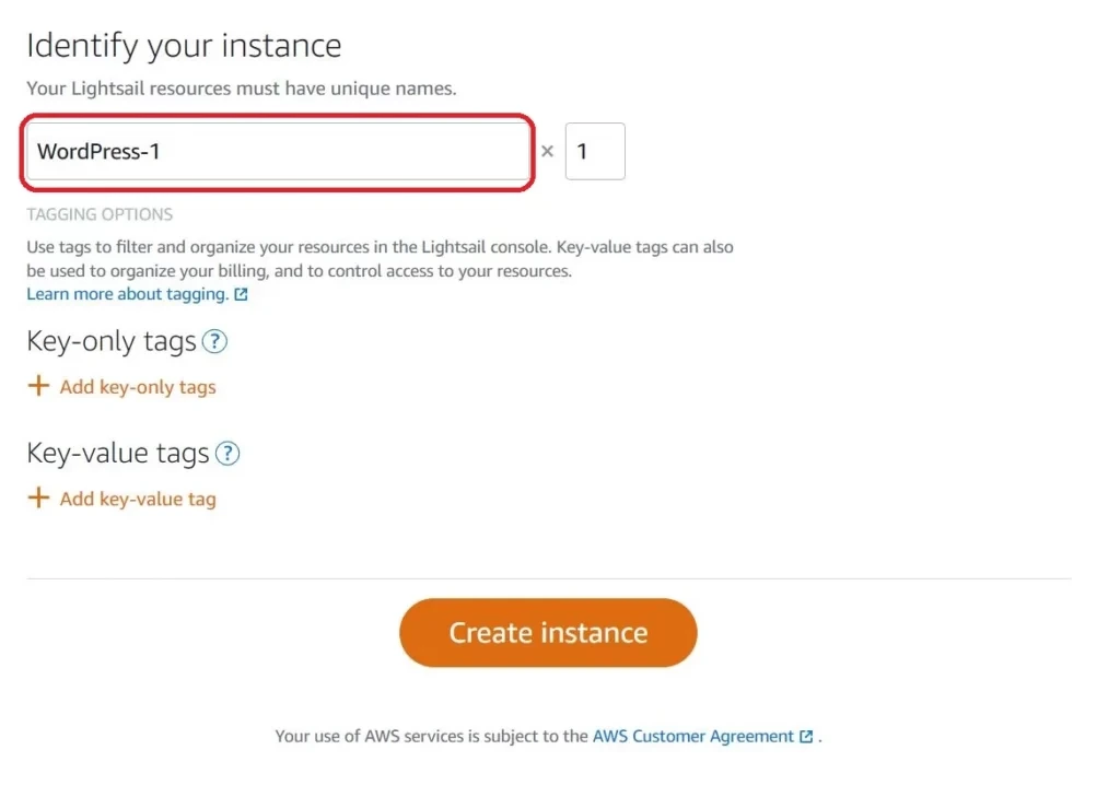 AWS Lightsail instance 이름 정하기