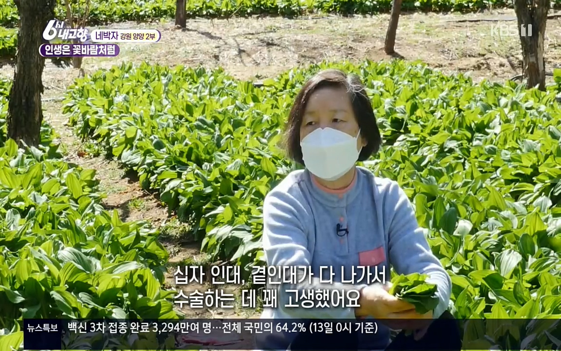 6시 내고향.E7510.220414p.H264-F1RST.mp4_20220419_184423.714.jpg