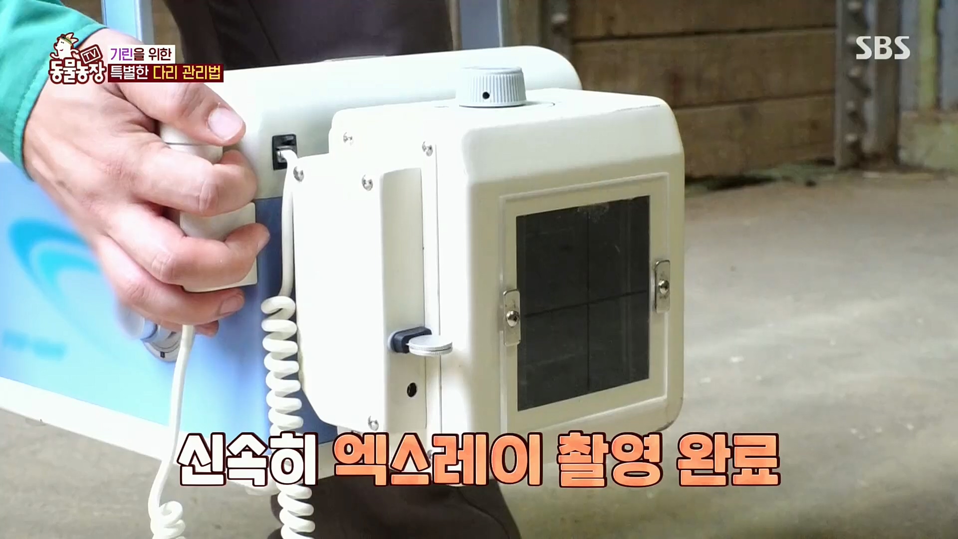 TV 동물농장.E1092.221023p.H264-F1RST.mp4_20221023_182729.492.jpg