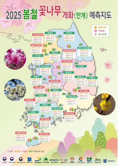 벚꽃 개화시기 2025년 지역별 모음_7
