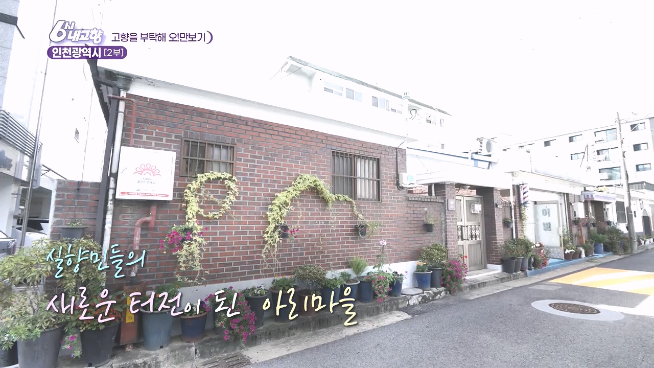 6시 내고향.E7892.231018p.H264-F1RST.mp4_20231018_194035.207.jpg