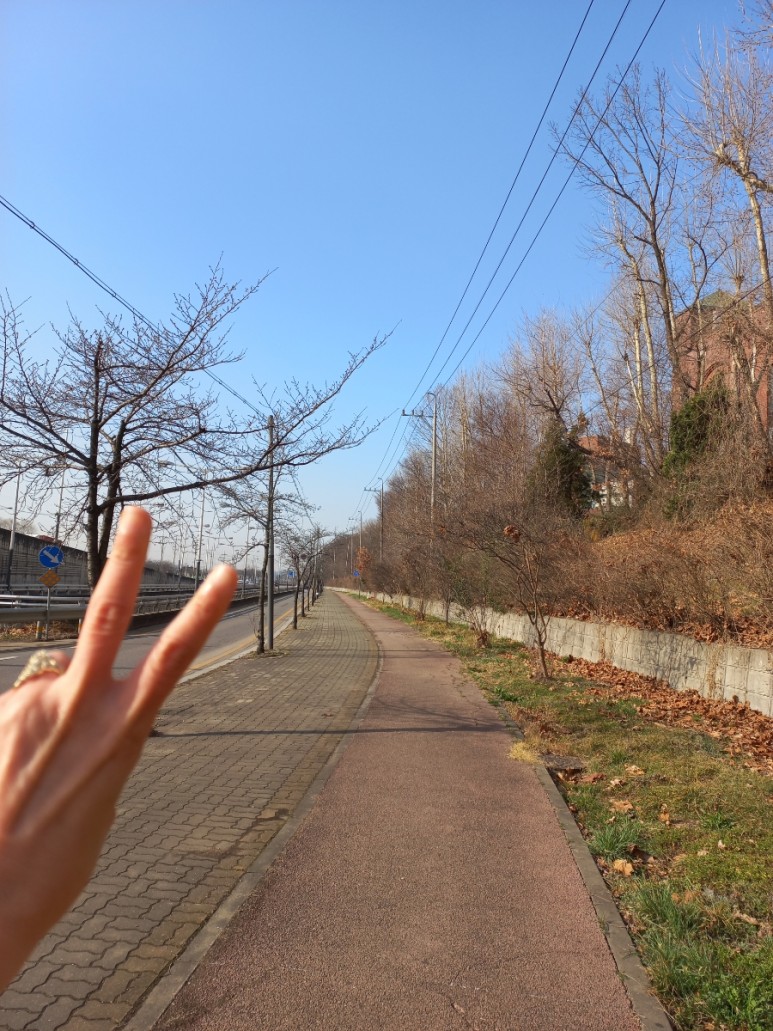 ●4인 가족 식비 절감 방법 이것저것 11