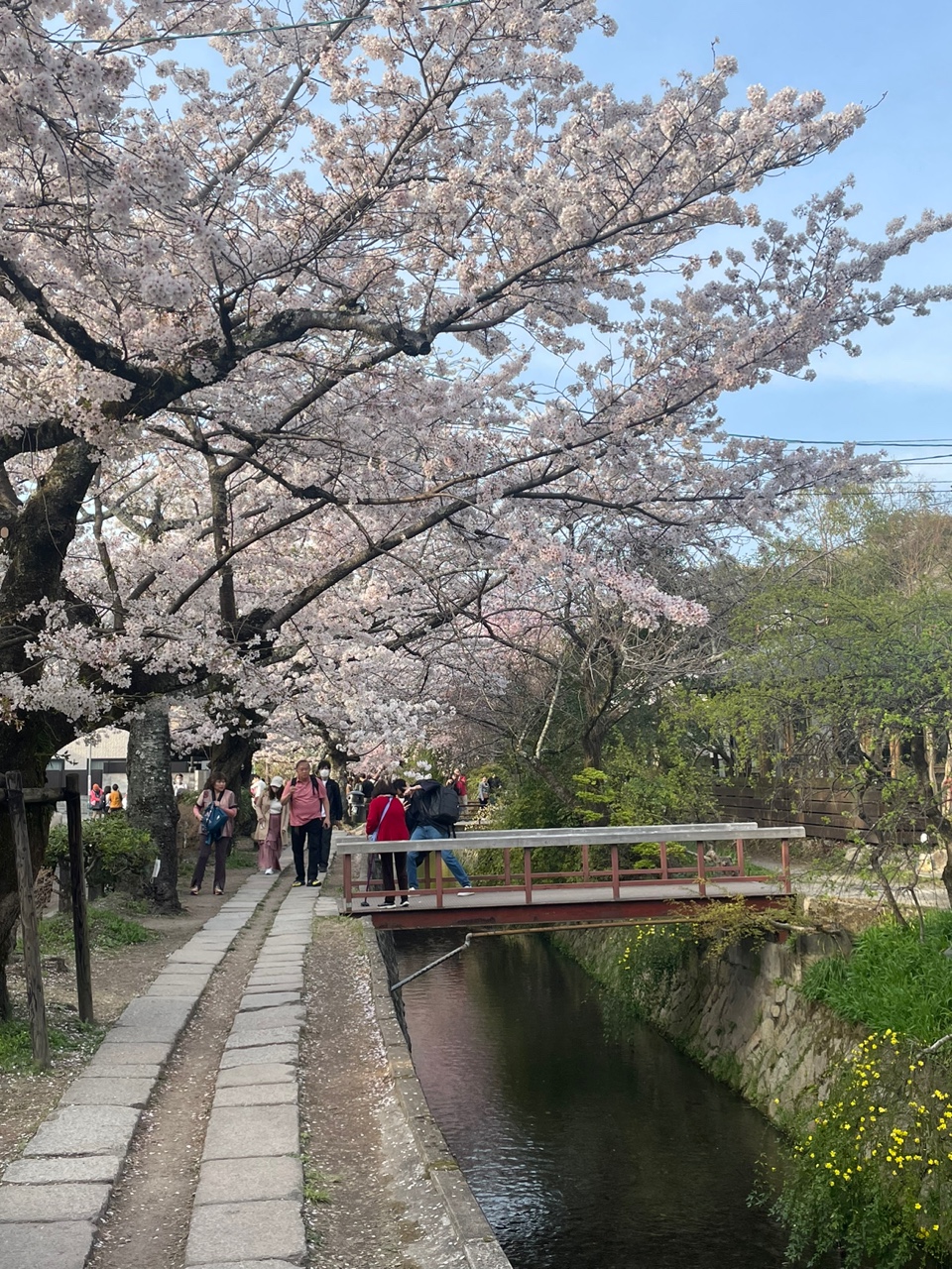 철학의 길