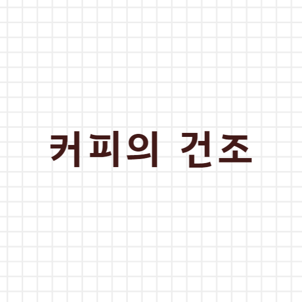  커피의 건조
