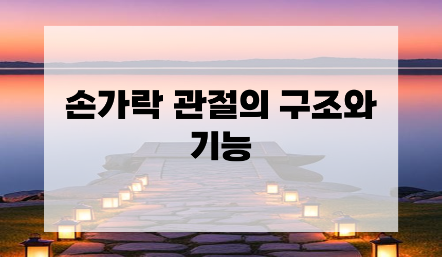 손가락 관절의 구조와 기능
