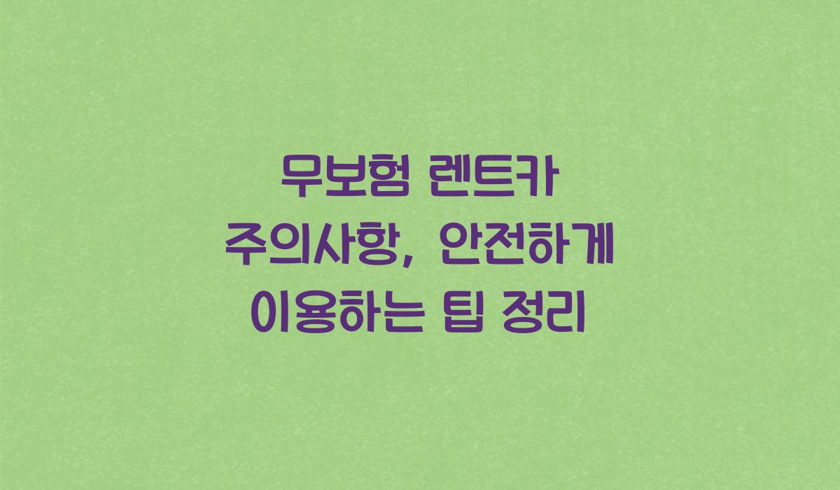 무보험 렌트카 주의사항