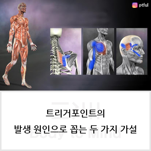  트리거포인트(trigger point)의 발생 원인으로 꼽는 두 가지 가설(hypothesis)