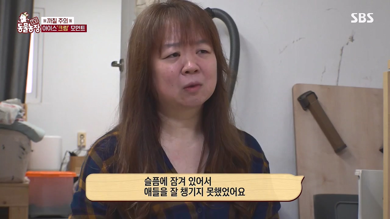 TV 동물농장.E1199.241201 - Joovideo-1.mp4_20241201_155019.262.jpg