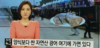 서천 광어 도미 축제에서 제철 맛 체험 완벽 여행 가이드_22