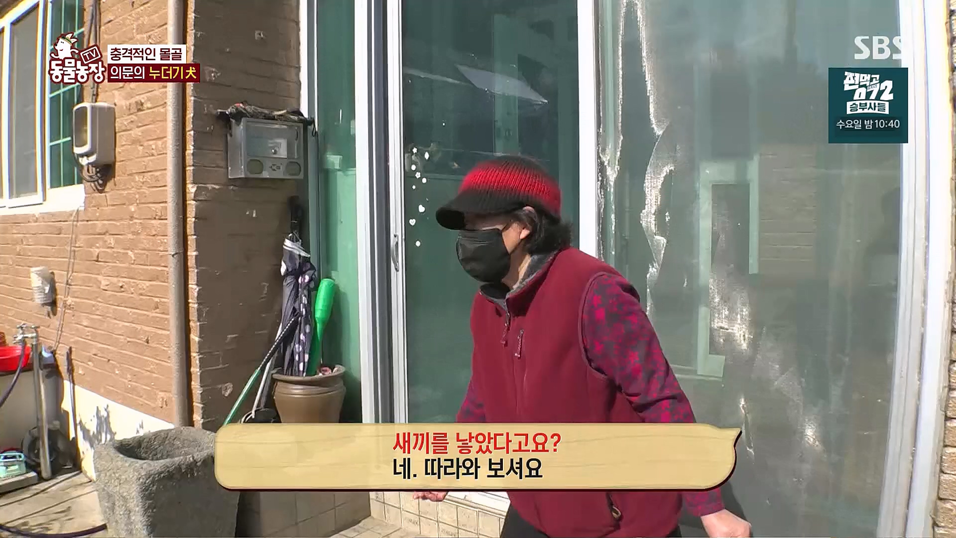 TV 동물농장.E1113.230326p.H264-F1RST.mp4_20230326_172515.634.jpg