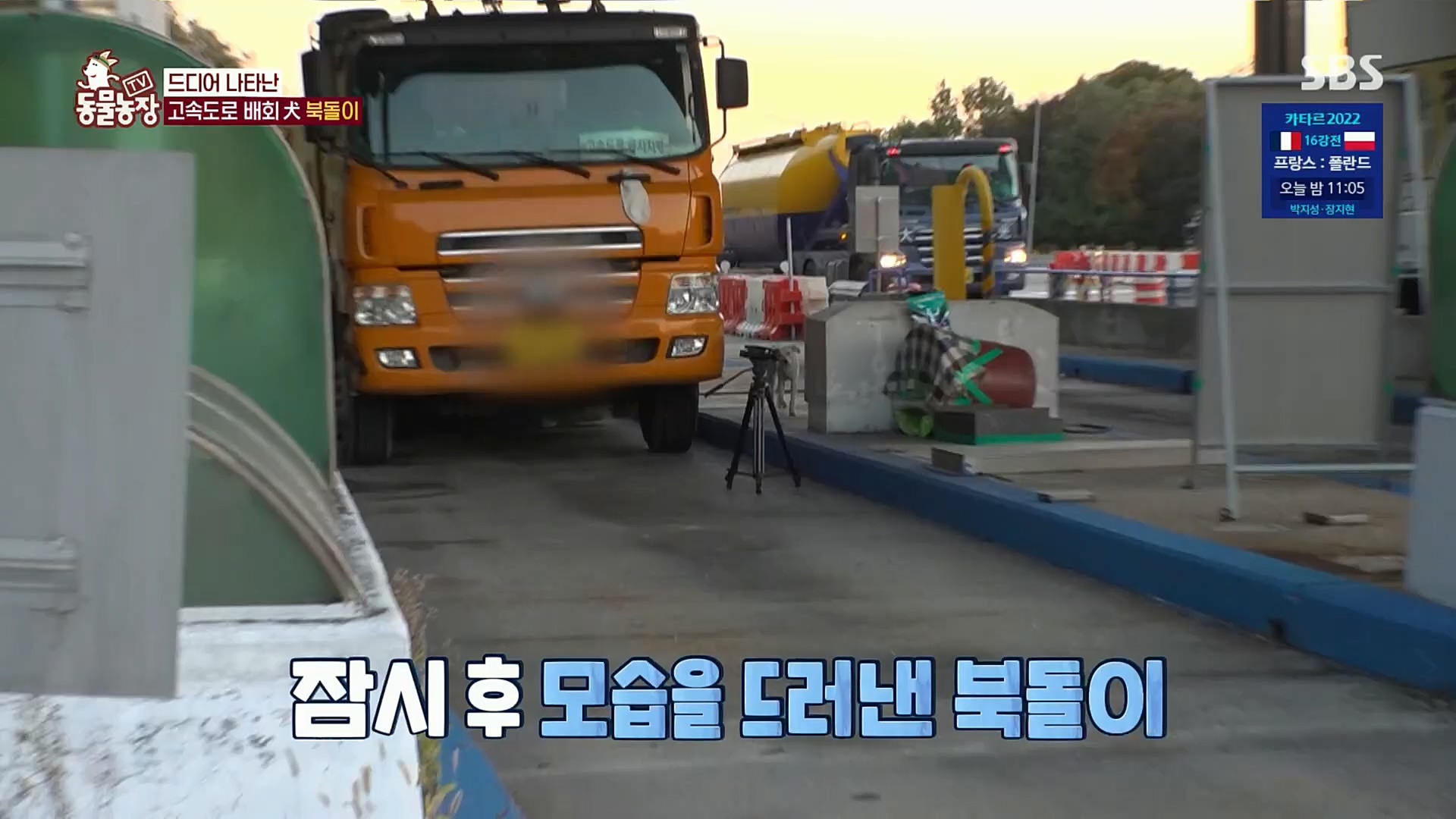 TV 동물농장.E1098.221204p.H264-F1RST.mp4_20221204_175416.544.jpg