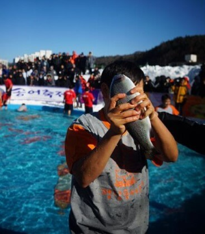 2025평창송어축제-황금송어맨손잡기