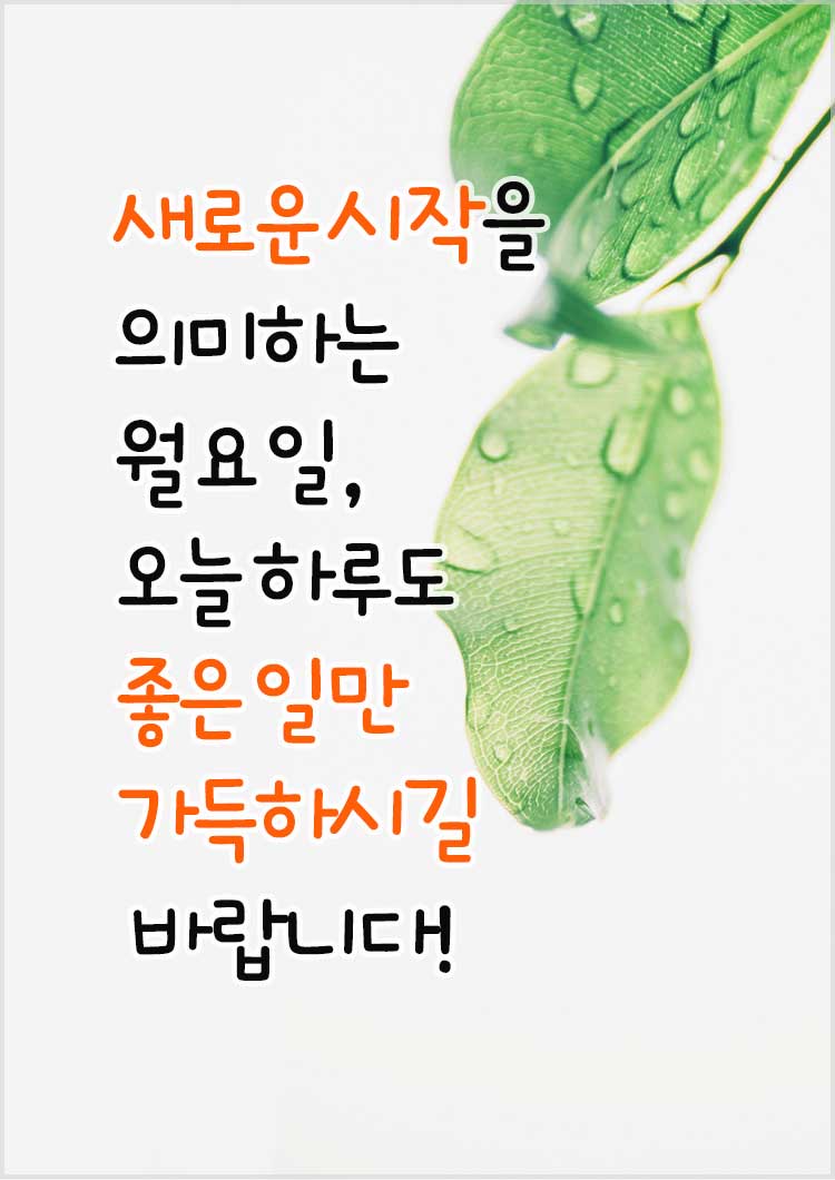 월요일 아침 인사말 인사문구-새로운 시작을 의미하는 월요일&amp;#44; 오늘 하루도 좋은 일만 가득하시길 바랍니다!