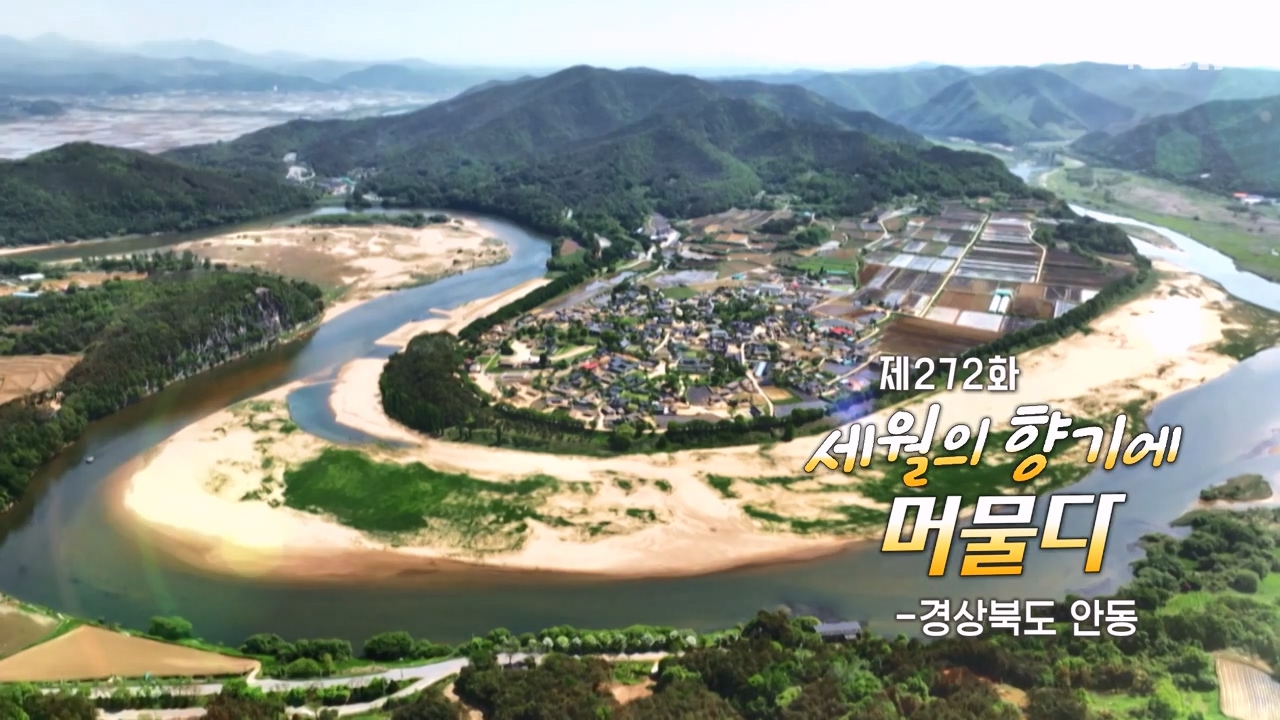 동네 한 바퀴.E275.240526p-NEXT.mp4_20240526_155937.469.jpg