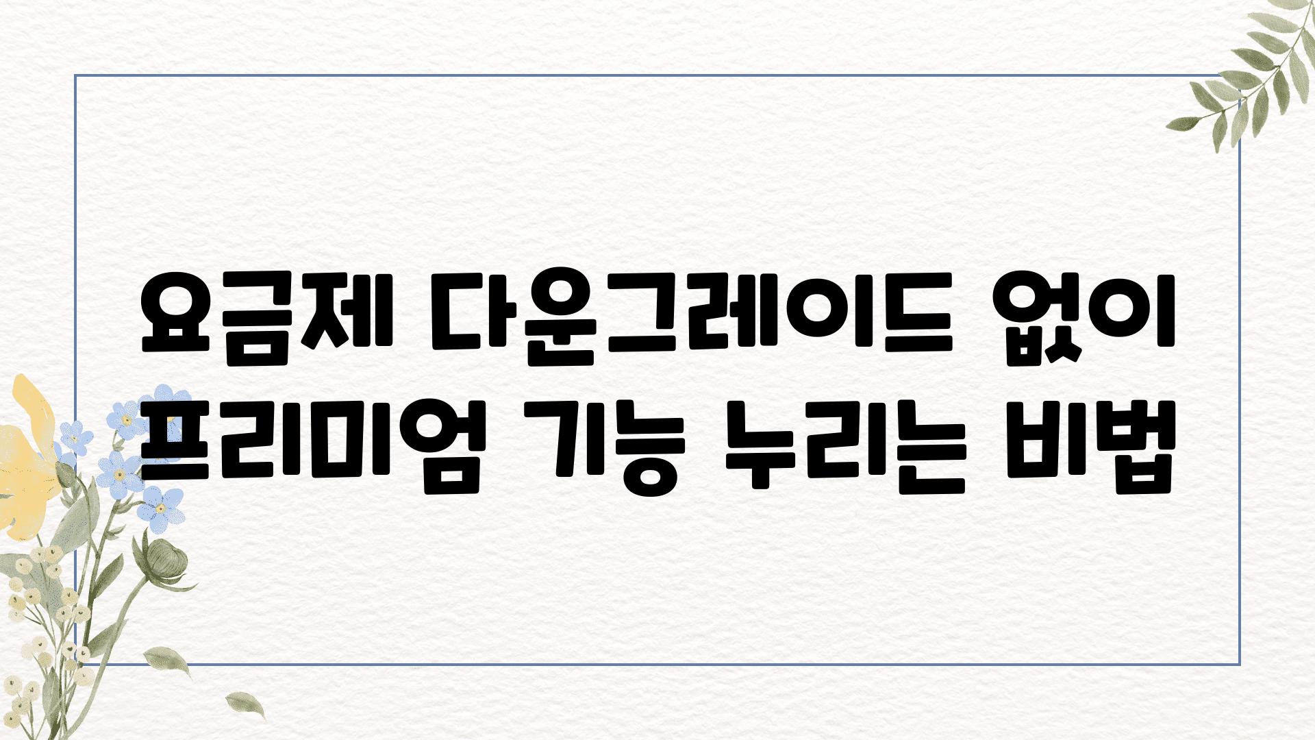 요금제 다운그레이드 없이 프리미엄 기능 누리는 비법