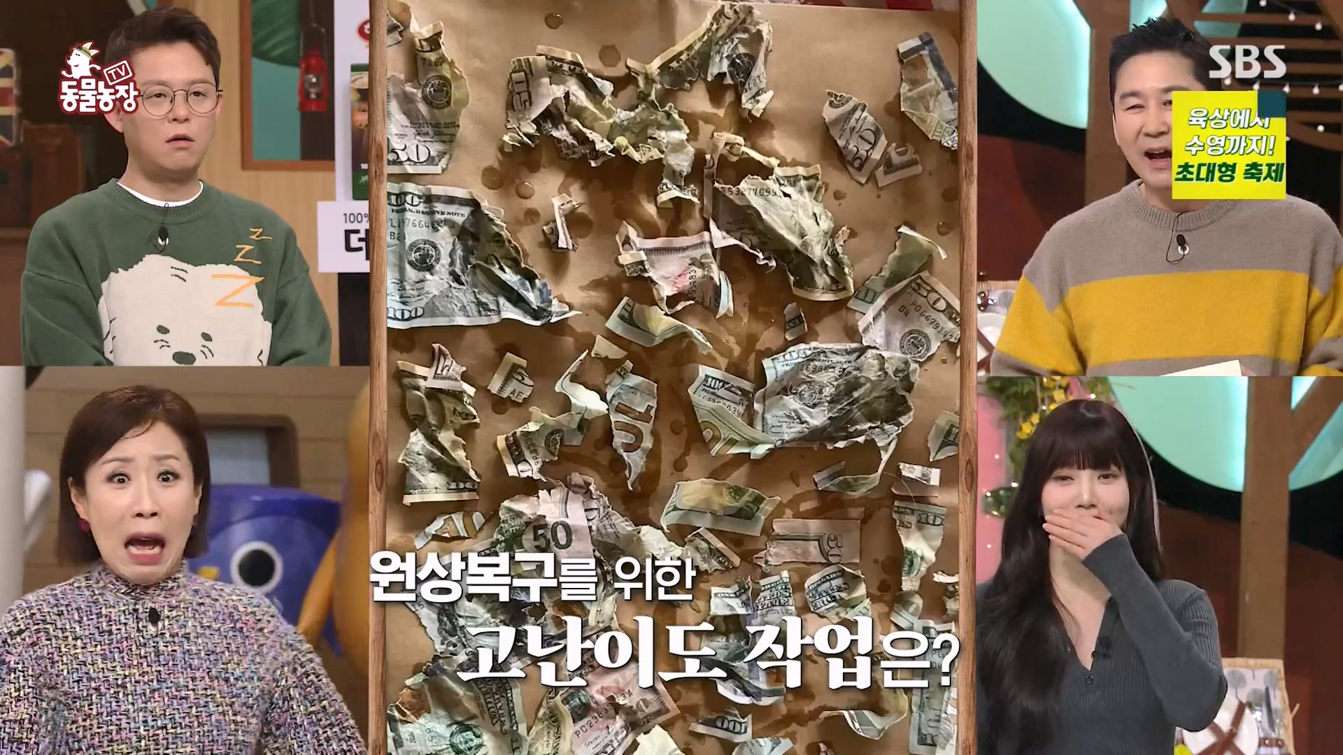 TV 동물농장.E1157.240204p-NEXT.mp4_20240204_164235.945.jpg